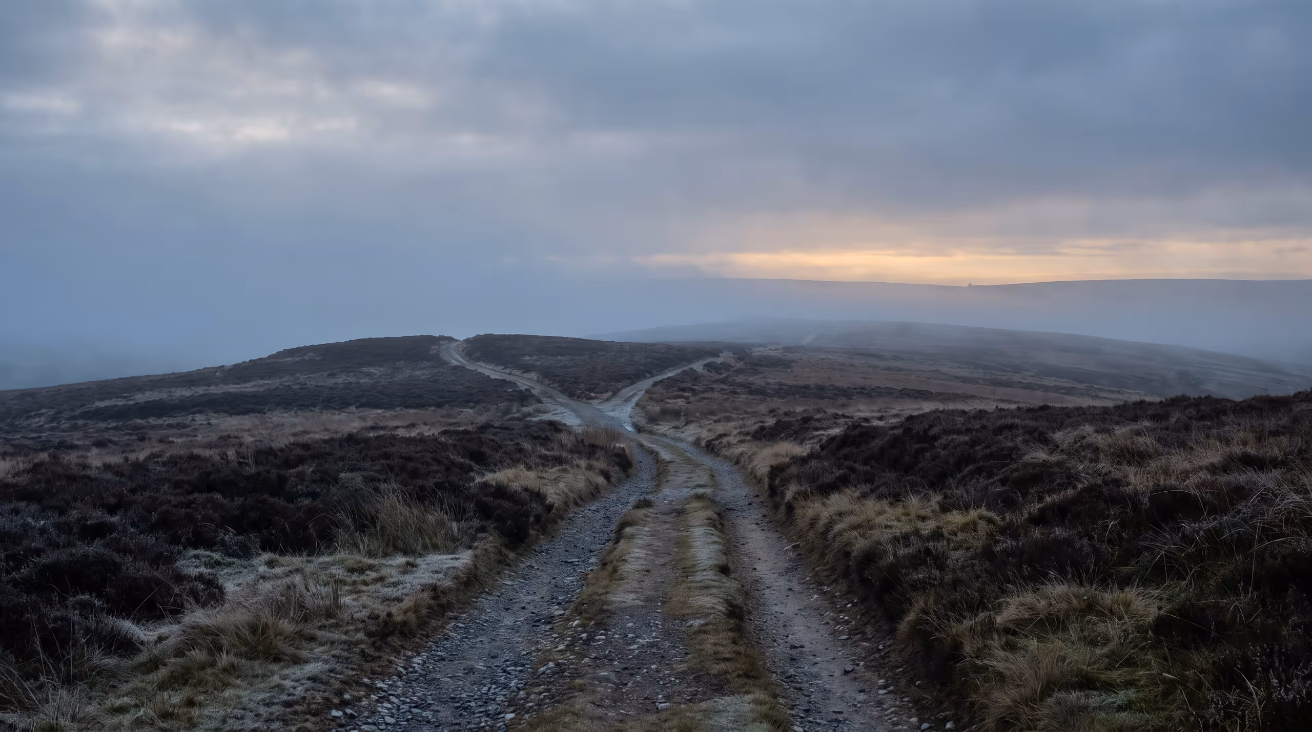 A path across open moorland at dawn dividing into two, both branches disappearing over low rises into mist. No signpost.