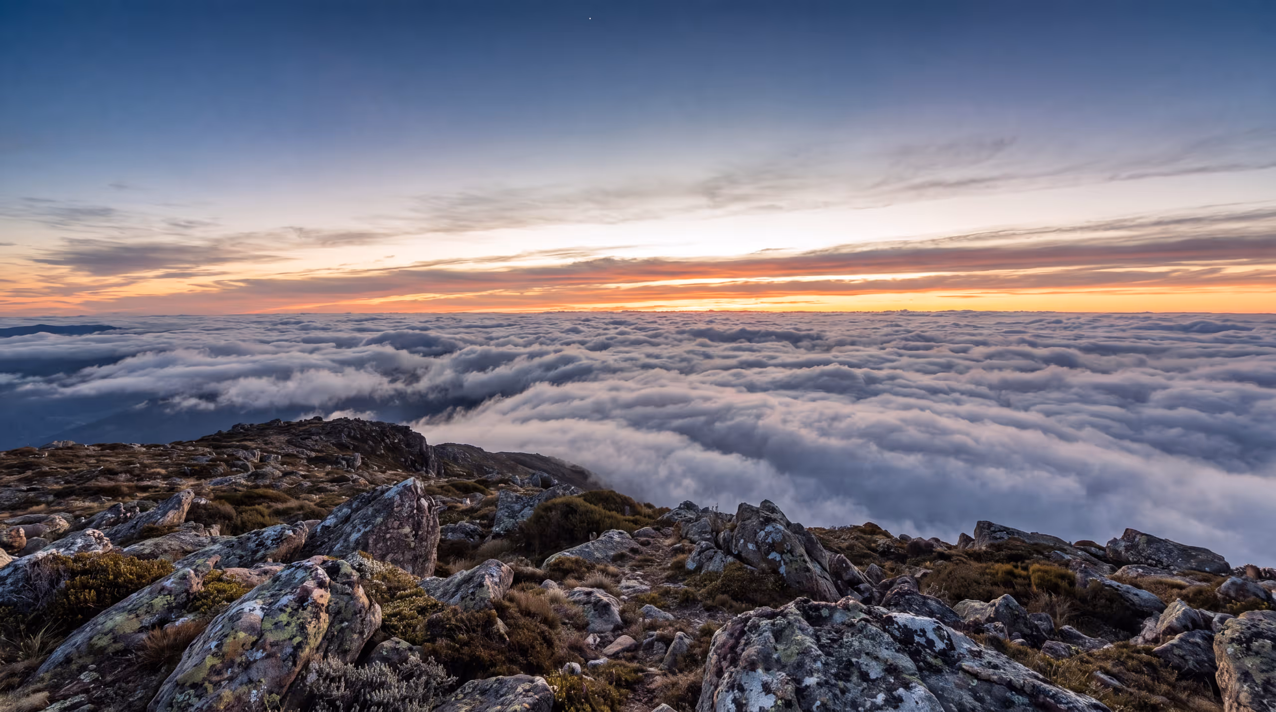 Dawn seen from a high place above an unbroken sea of cloud, the first sun breaking across it in long gold and rose bands.