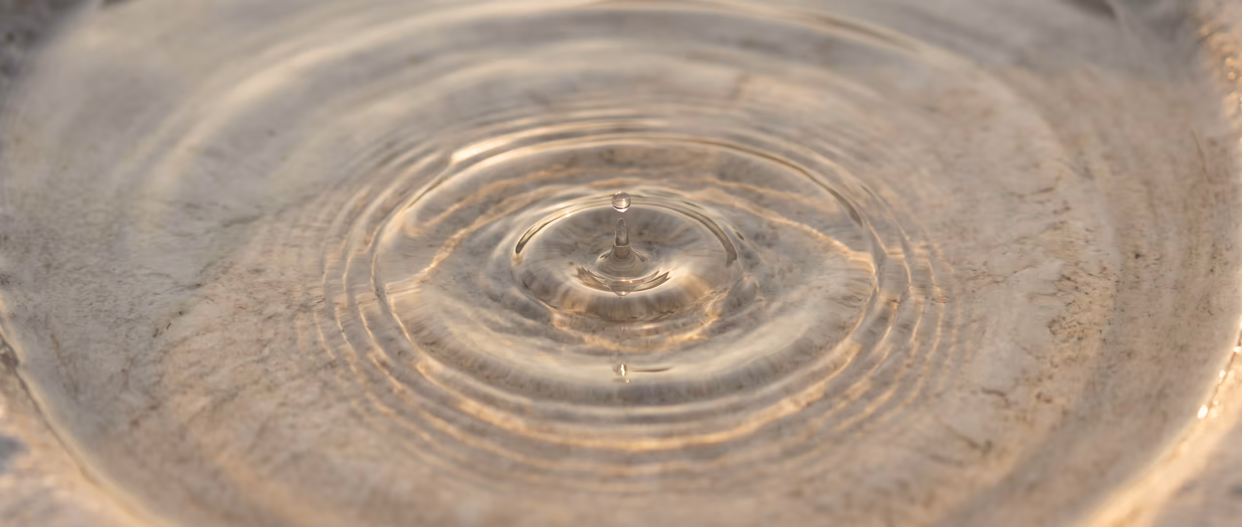 Seen from directly above, slow concentric ripples spreading across shallow still water over pale stone, catching low warm light.